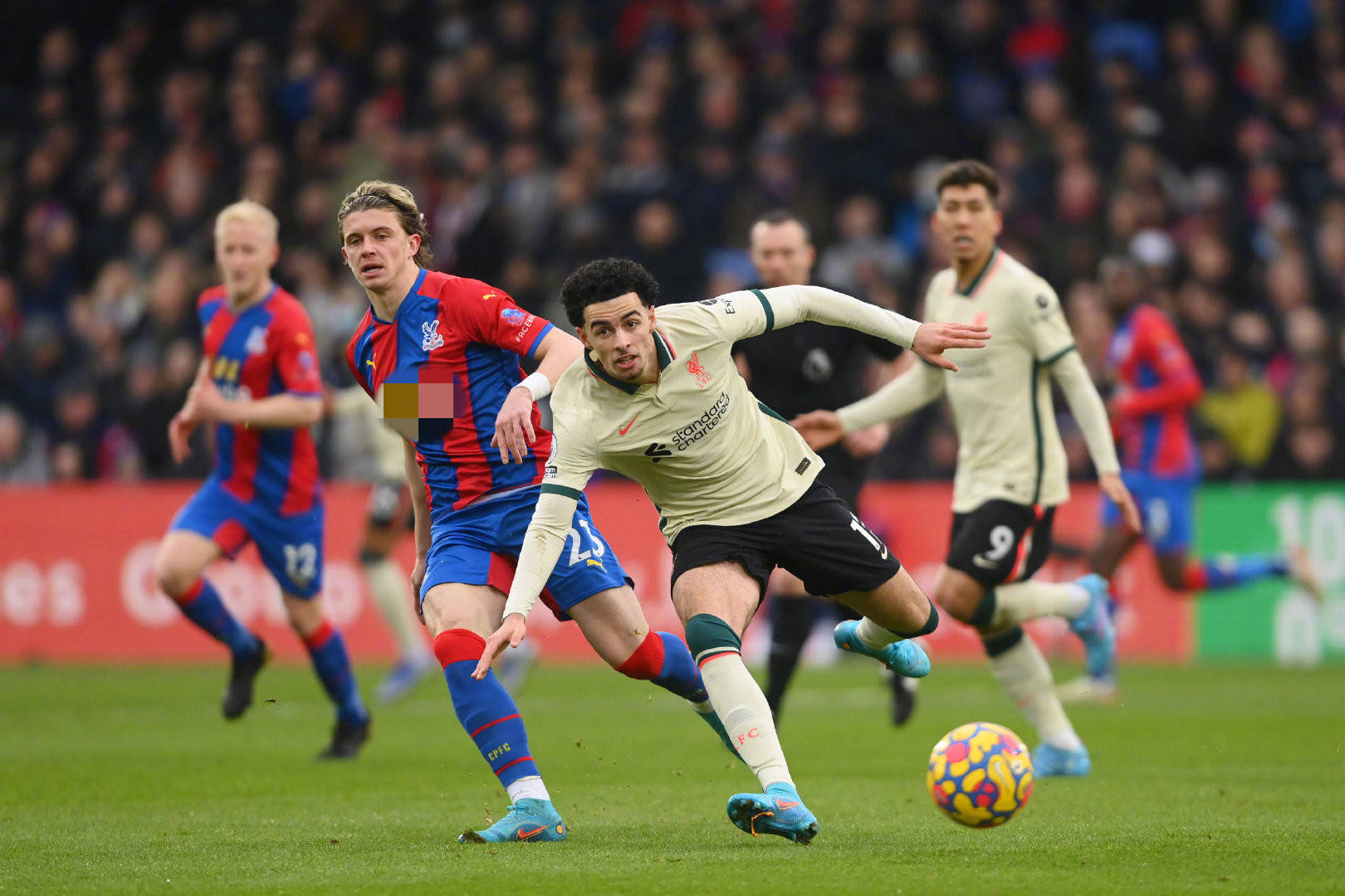 训足以说明 训足以说明